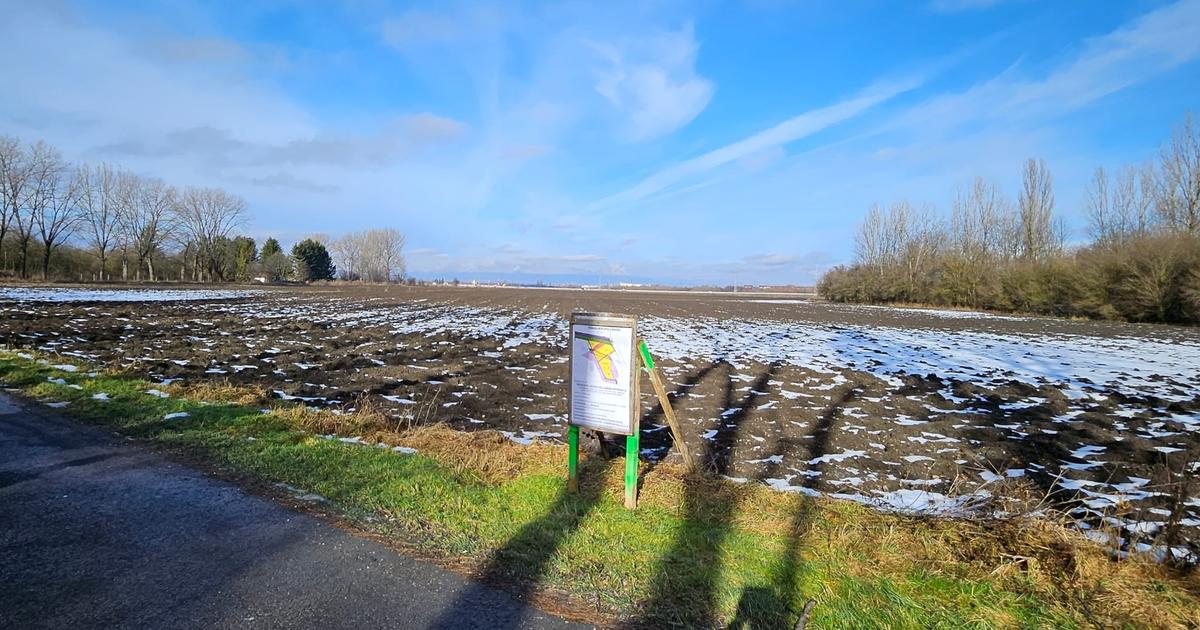 Teren Construcții intravilan de 78542 mp, în zona 13 Decembrie, Brașov