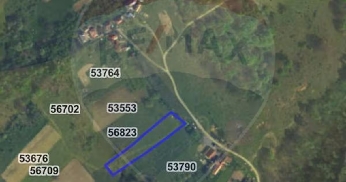 Teren Construcții intravilan de 2723 mp, în Bratca