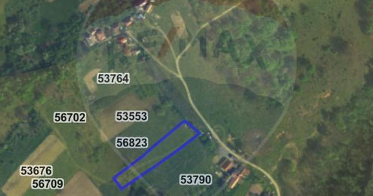 Teren Construcții intravilan de 2723 mp, în Bratca