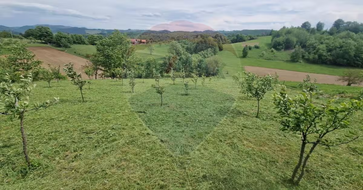Teren Construcții intravilan de 5862 mp, în Bratca