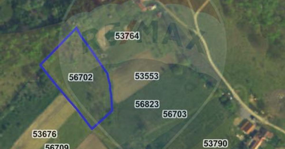 Teren Construcții intravilan de 5862 mp, în Bratca