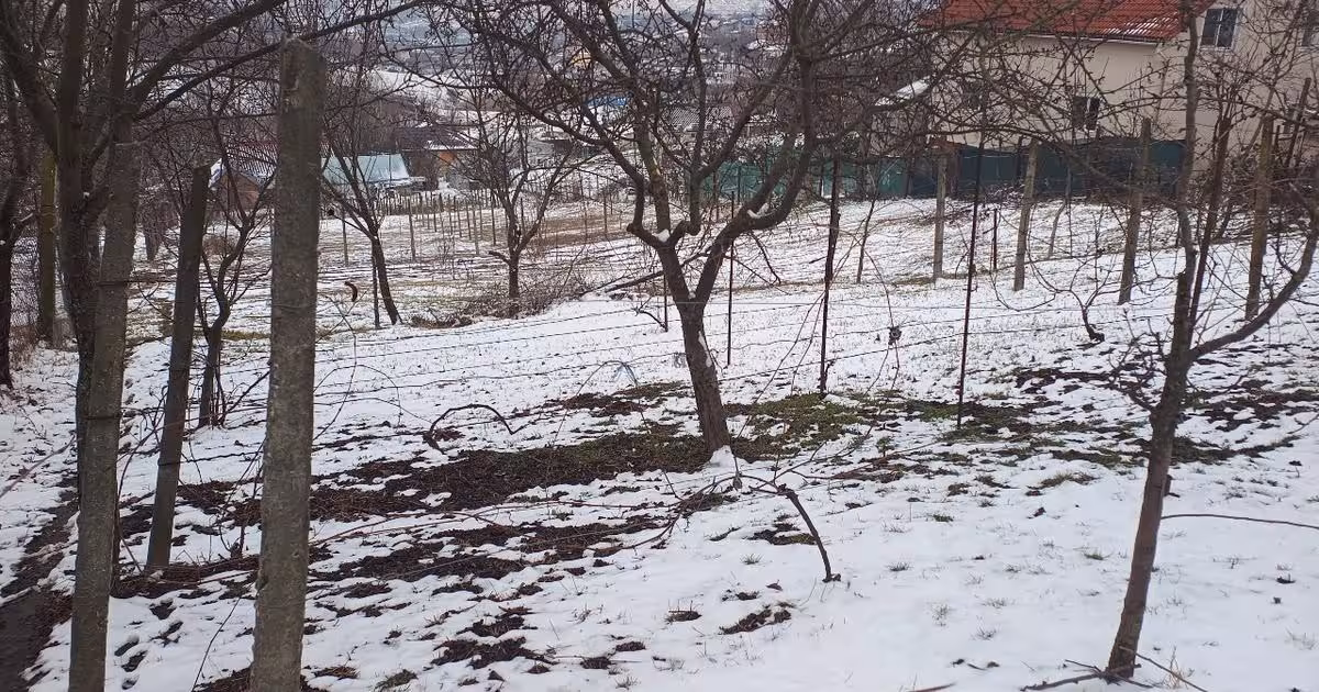 Teren Construcții intravilan de 704 mp, în Breazu