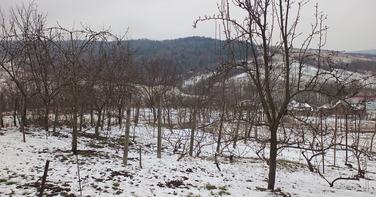 Teren Construcții intravilan de 704 mp, în Breazu