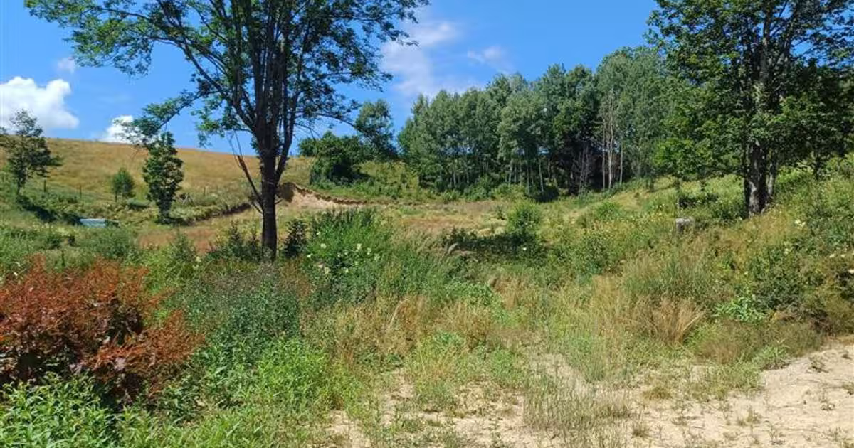 Teren Construcții intravilan de 6889 mp, în Brebu Nou