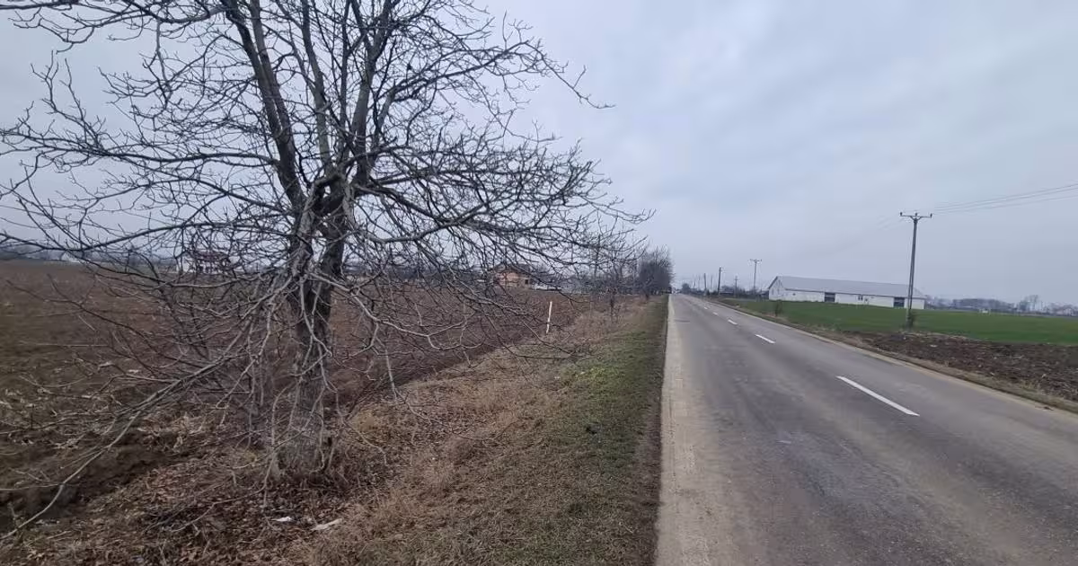 Teren Construcții intravilan de 23100 mp, în Bucecea