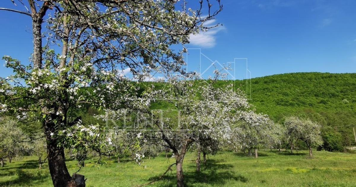 Teren Construcții extravilan de 680 mp, în Budeasa Mică