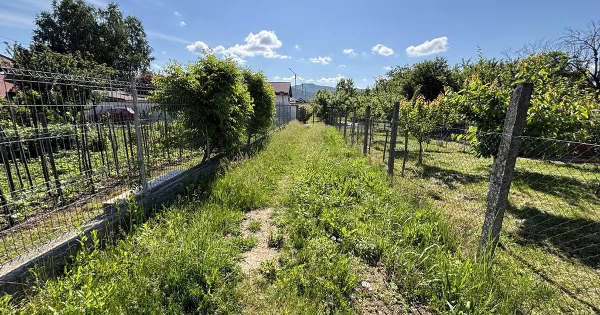 Teren Construcții intravilan de 2170 mp, în Bujoreni
