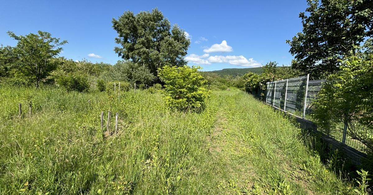 Teren Construcții intravilan de 2170 mp, în Bujoreni