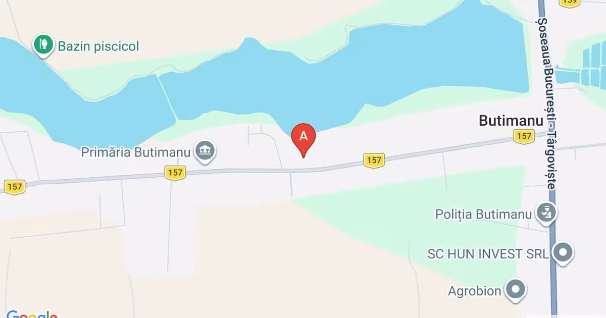 Teren Construcții intravilan de 3000 mp, în Butimanu