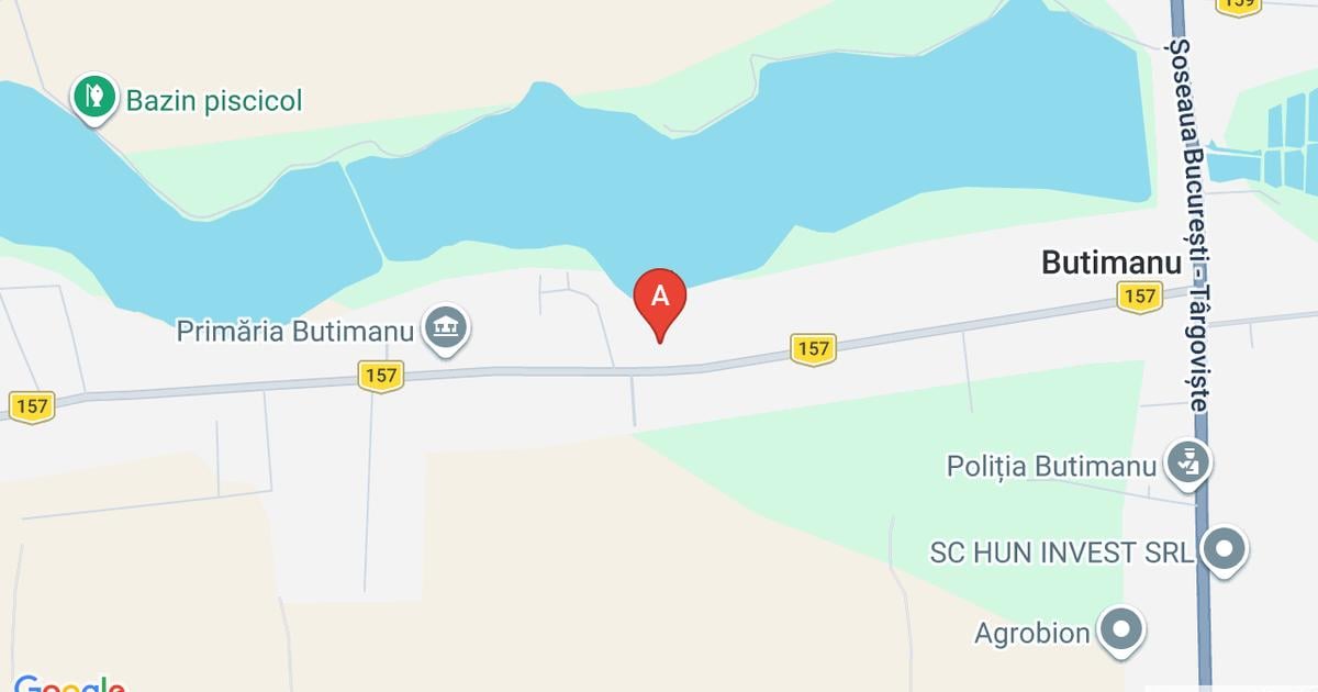 Teren Construcții intravilan de 3000 mp, în Butimanu