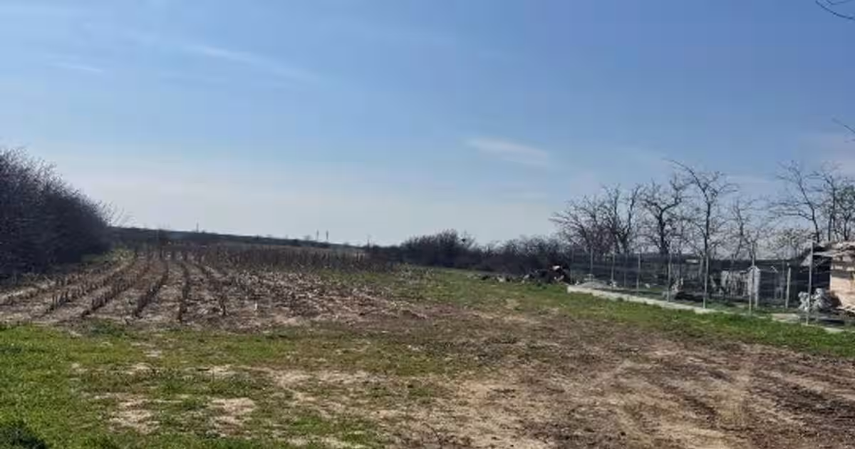 Teren Construcții intravilan de 3544 mp, în Buturugeni
