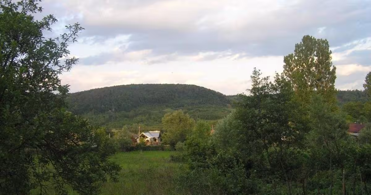 Teren Construcții intravilan de 6090 mp, în Călinești