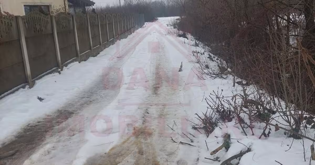 Teren Construcții intravilan de 4900 mp, în zona Nord-Vest, Caransebeș