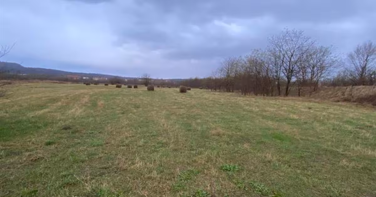 Teren Construcții extravilan de 5087 mp, în zona Sud-Vest, Caransebeș