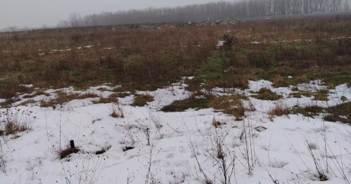 Teren 1.000 mp cu casă demolabilă-Cea mai ieftina proprietate din Cârcea!