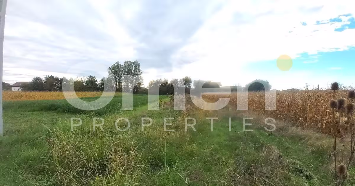 Teren Construcții intravilan de 1070 mp, în Cătălina