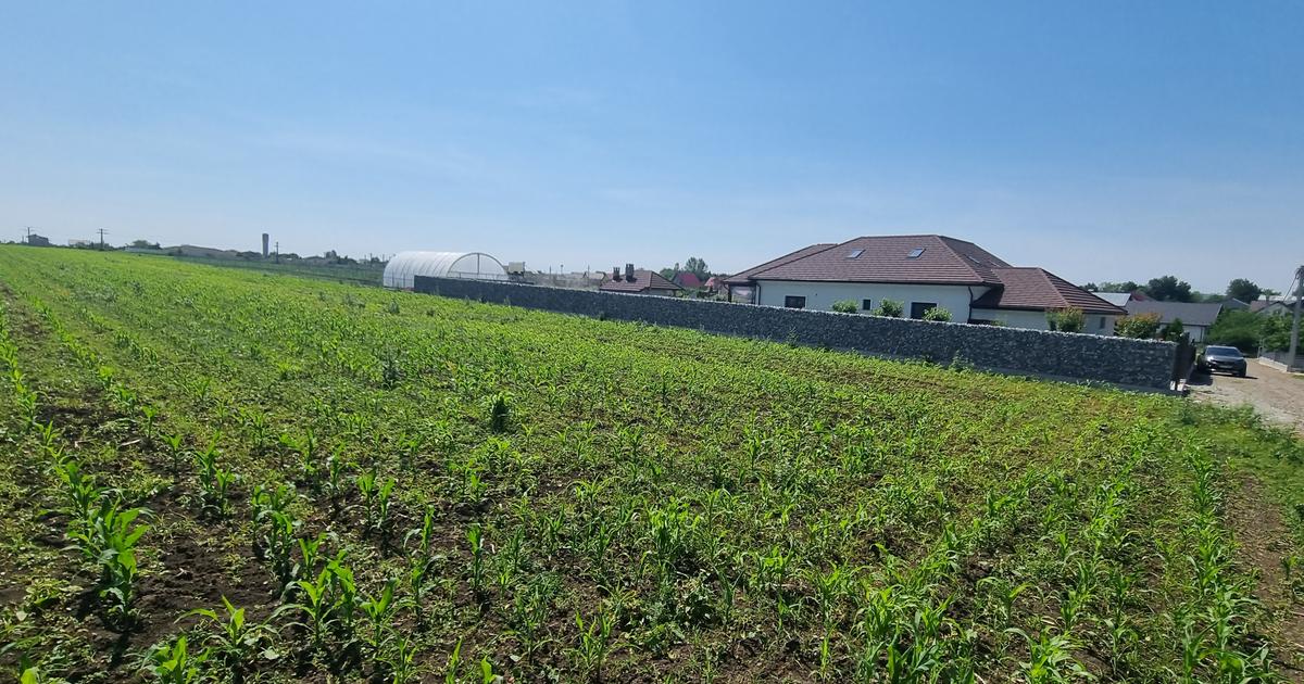 Teren Construcții intravilan de 10000 mp, în Cătămărești-Deal