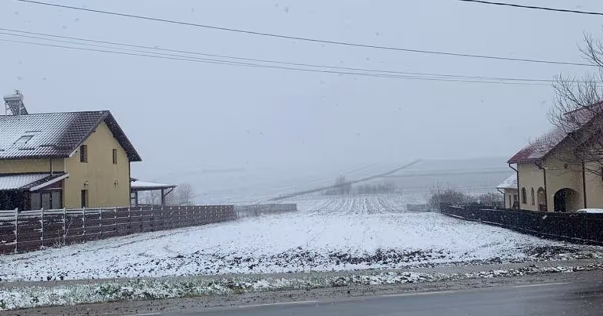 Teren Construcții intravilan de 5000 mp, în Cătămărești-Deal
