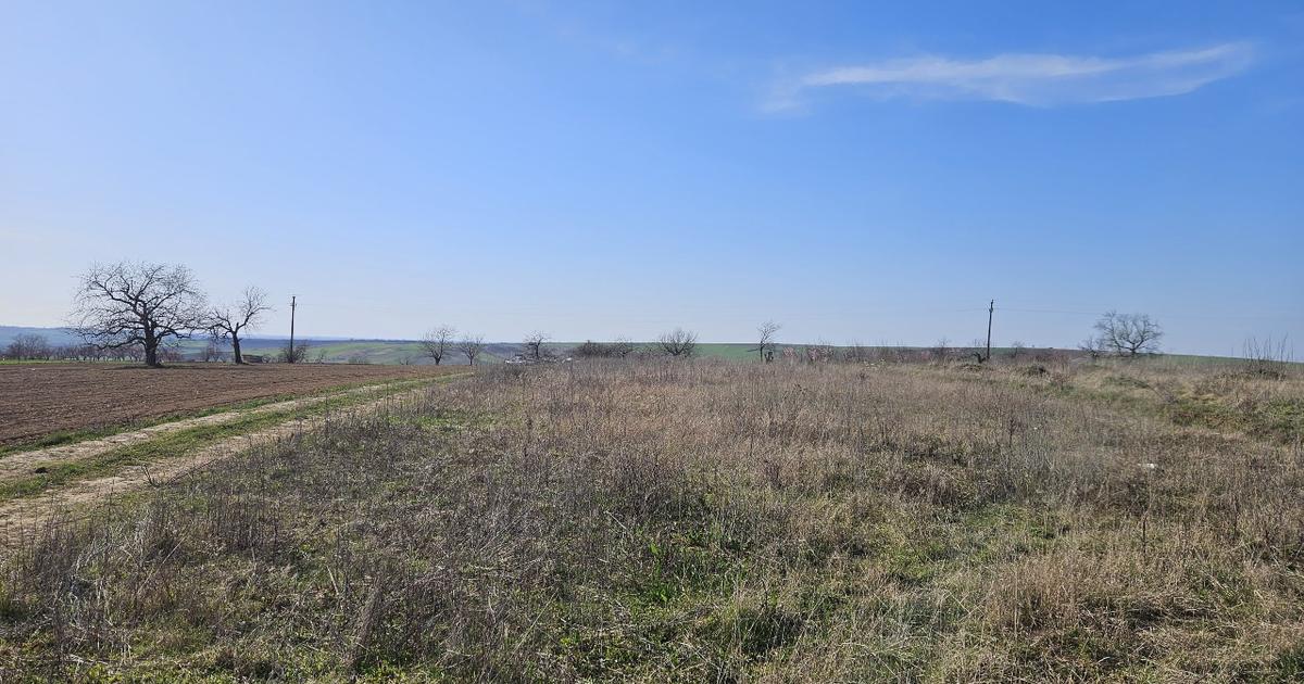 Teren Construcții intravilan de 6707 mp, în Cetariu