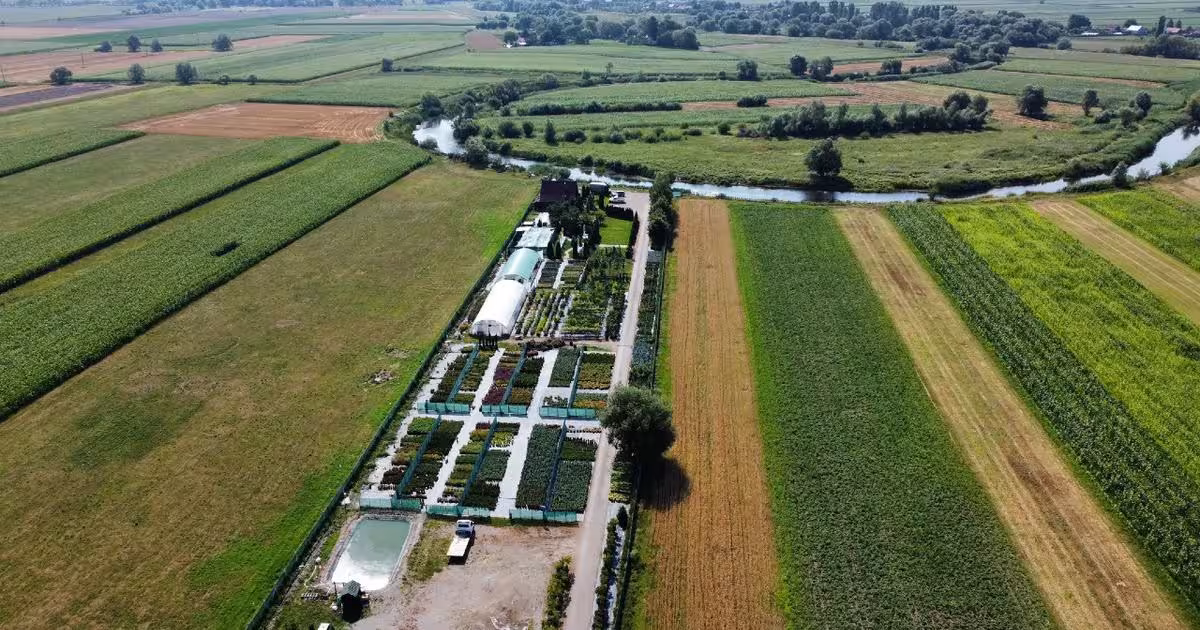 Teren Construcții intravilan de 12500 mp, în Chichiș
