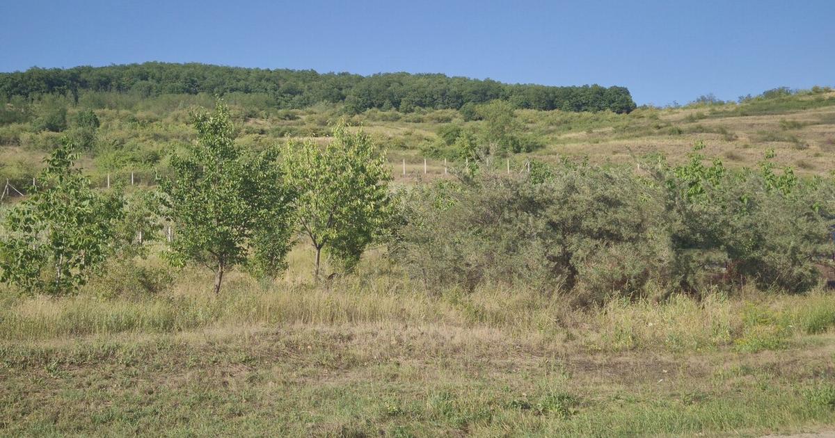 Teren Construcții intravilan de 2500 mp, în Ciugud