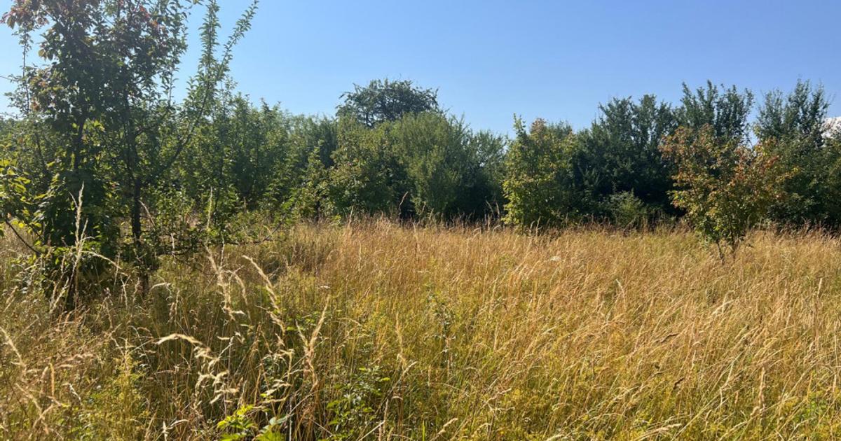 Teren Construcții intravilan de 470 mp, în zona Bună Ziua, Cluj-Napoca