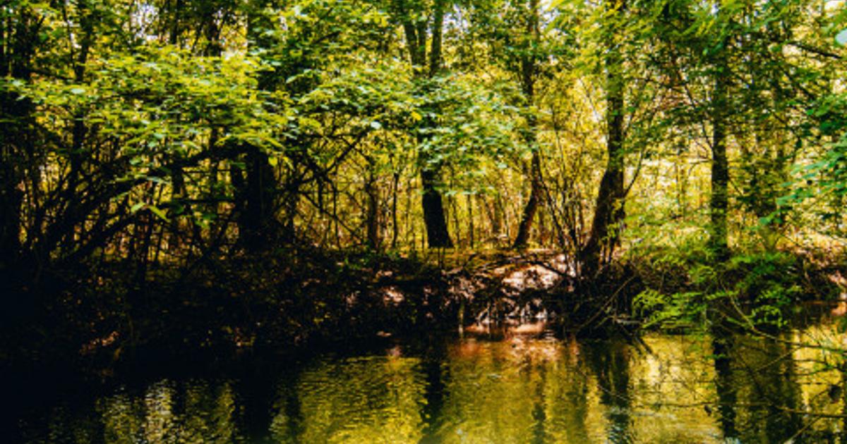 Teren Construcții intravilan de 800 mp, în Cocani