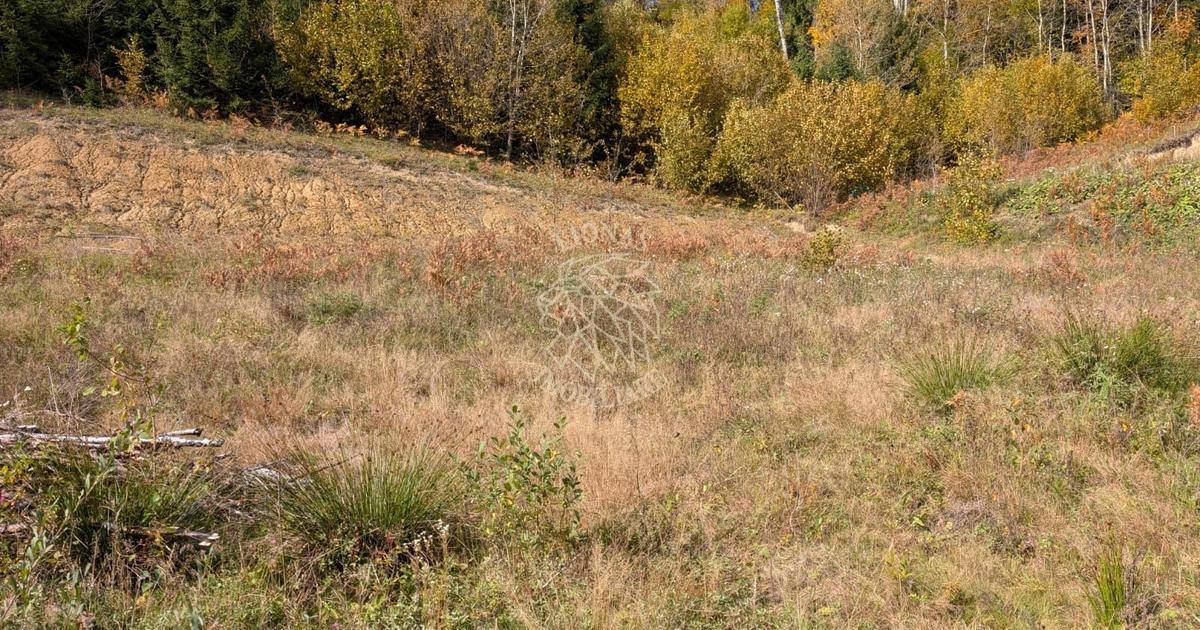 Teren Construcții intravilan de 1000 mp, în Colibița