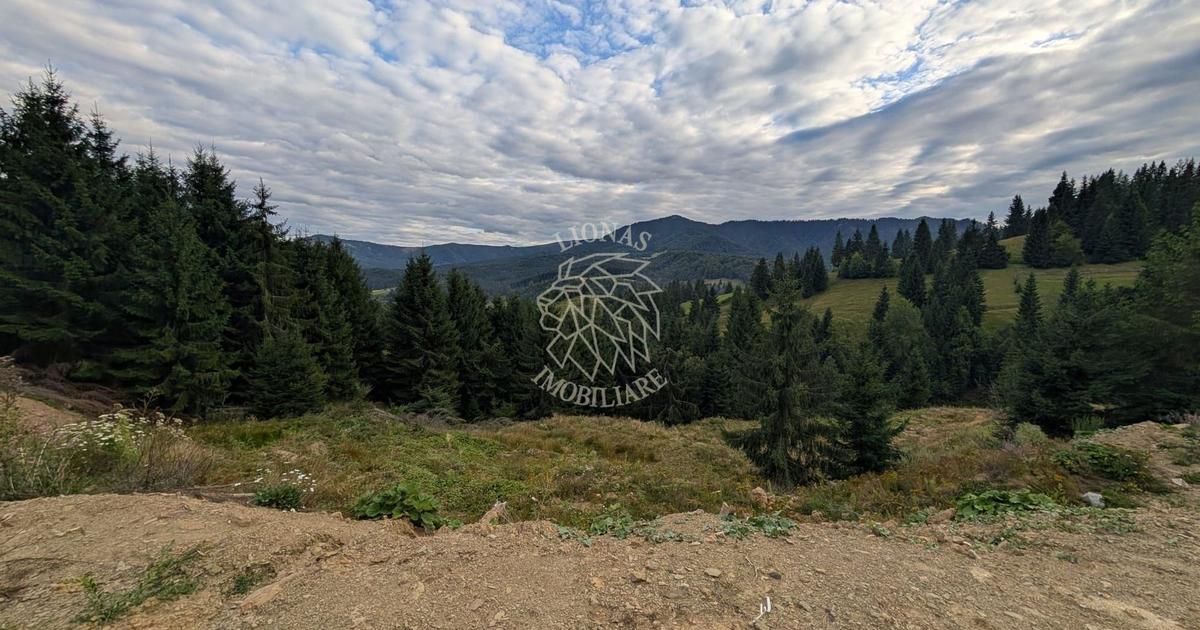 Teren Construcții intravilan de 1002 mp, în Colibița