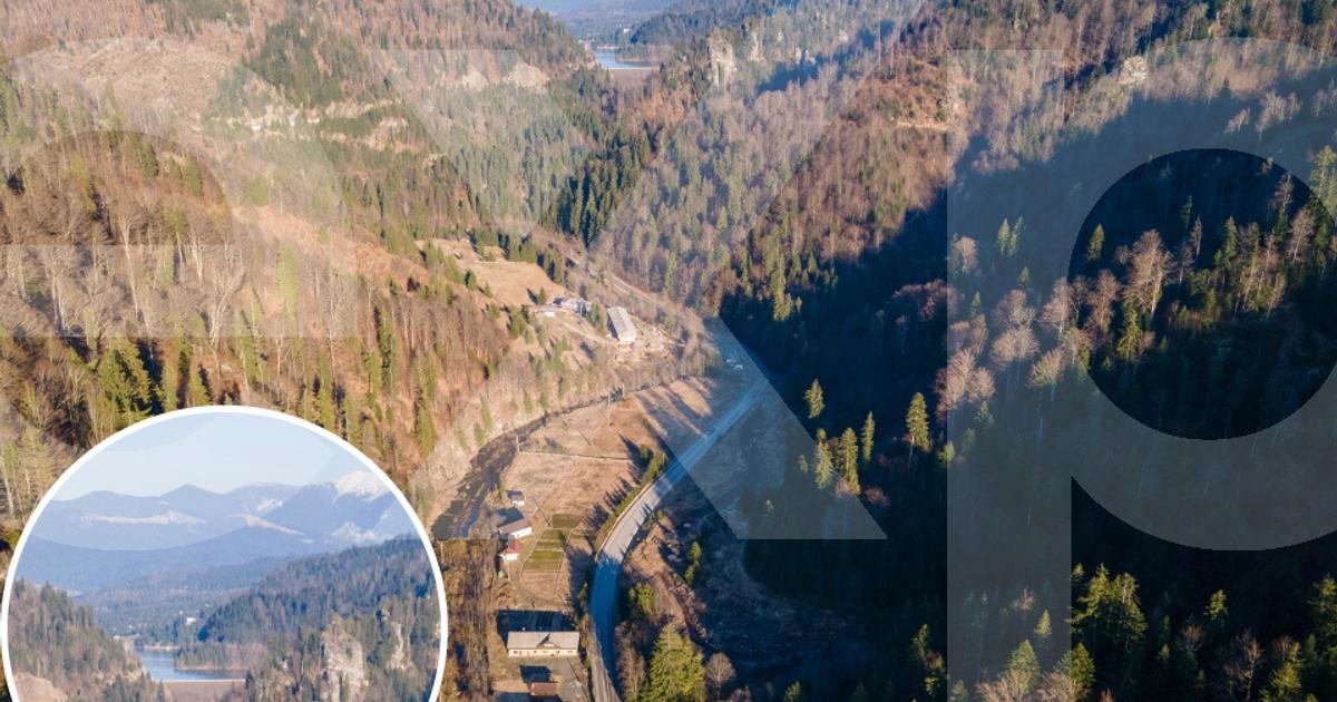 Teren Construcții de 12192 mp, în Colibița