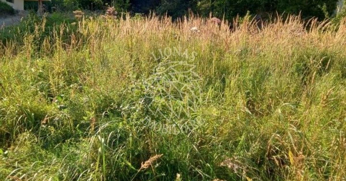 Teren Construcții intravilan de 1615 mp, în Colibița