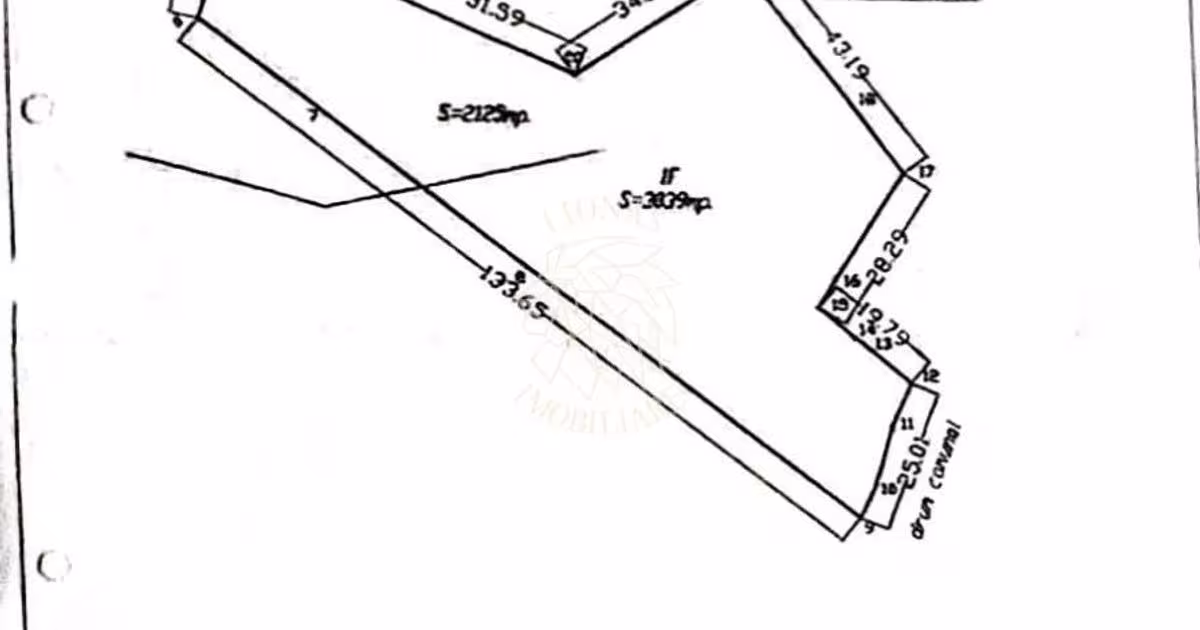 Teren Construcții intravilan de 5164 mp, în Colibița