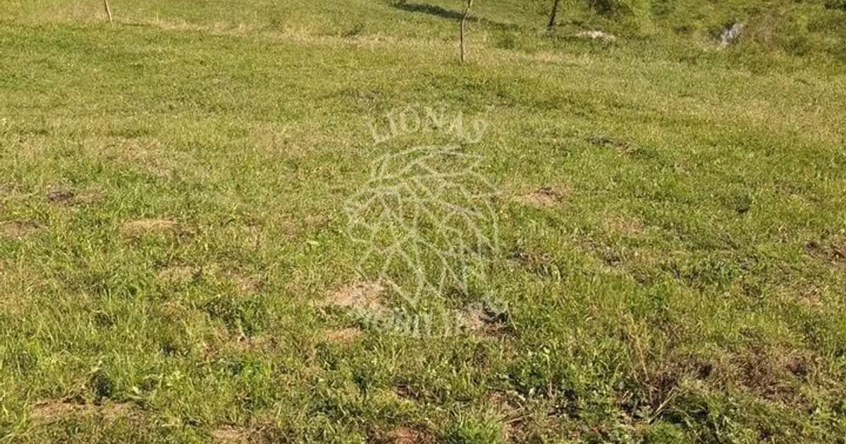 Teren Construcții intravilan de 61384 mp, în Colibița