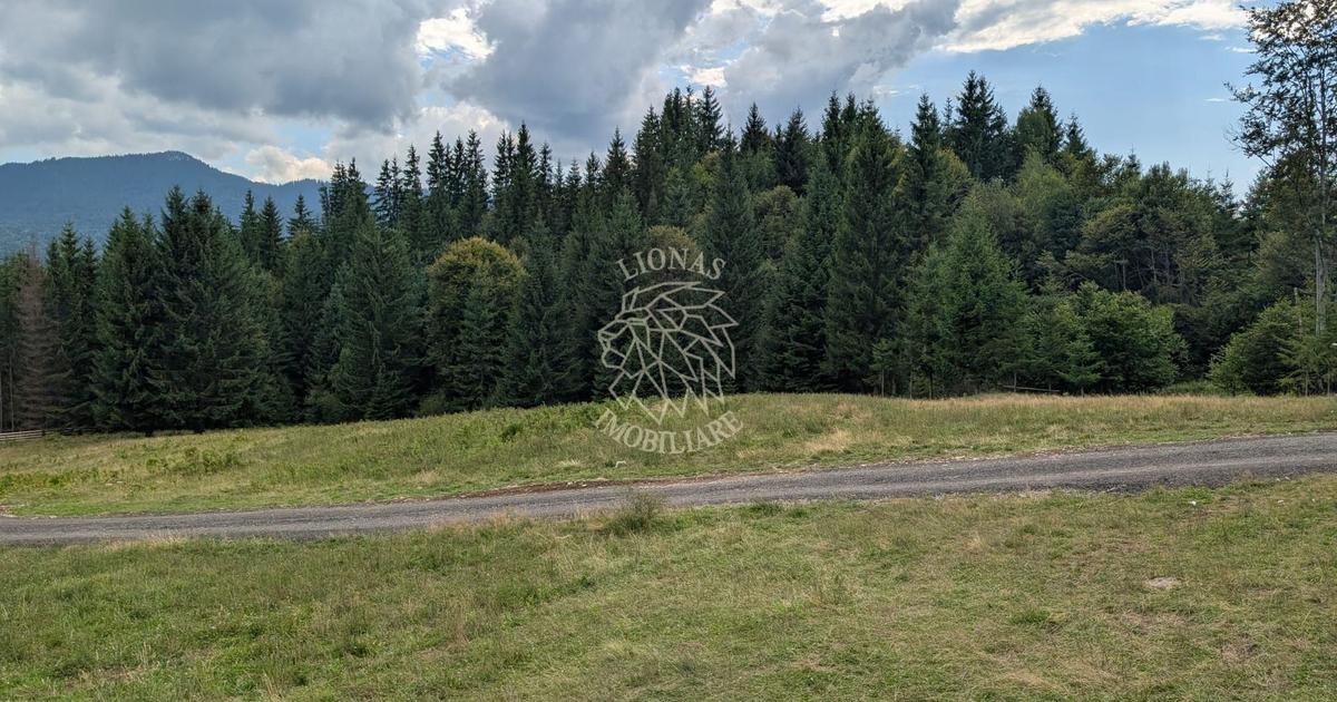 Teren Construcții intravilan de 785 mp, în Colibița