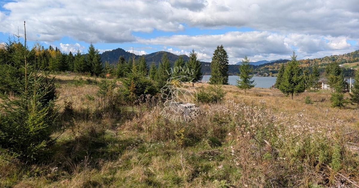 Teren Construcții intravilan de 800 mp, în Colibița