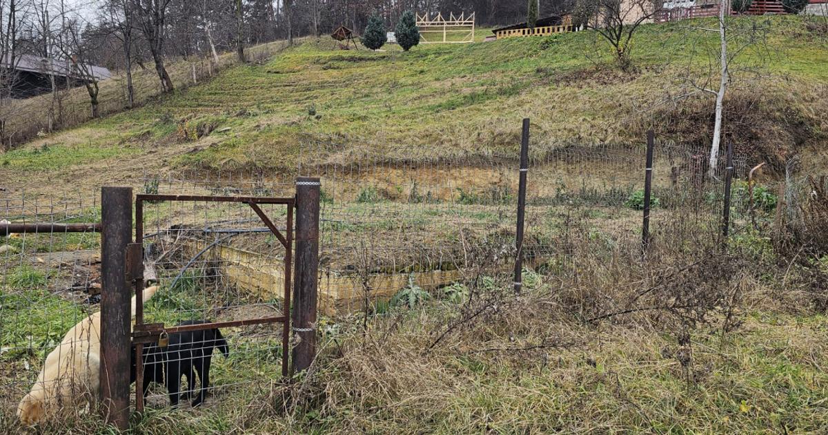 Teren Construcții intravilan de 1131 mp, în zona Est, Comănești