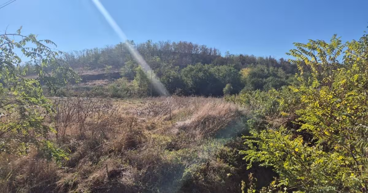 Teren Construcții intravilan de 2000 mp, în Condeești