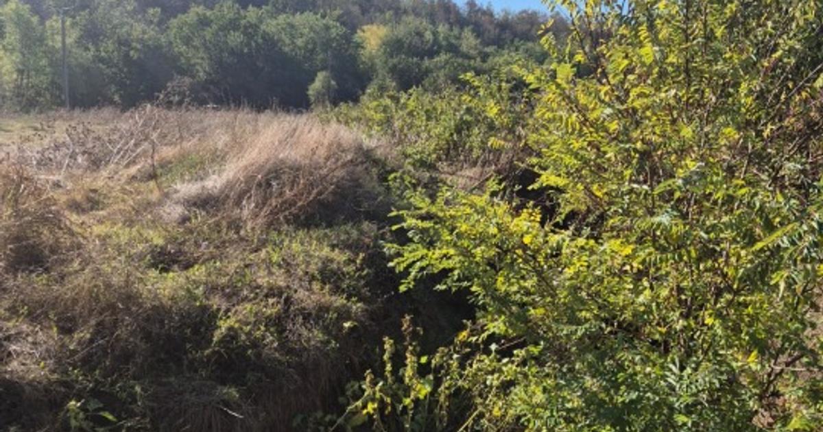 Teren Construcții intravilan de 2000 mp, în Condeești