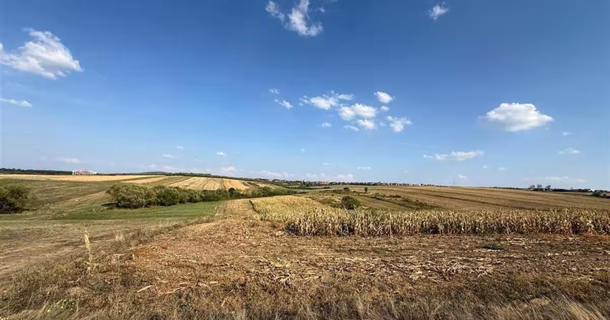 Teren Construcții intravilan de 2877 mp, în Cordău