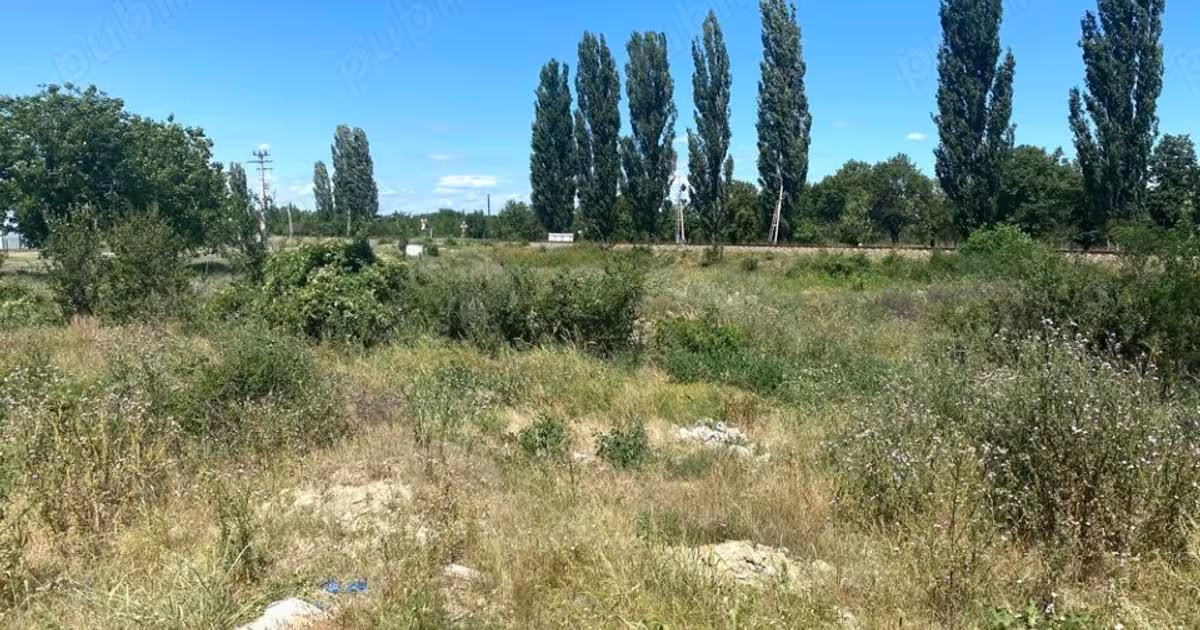 Teren Construcții intravilan de 4613 mp, în Cornu de Jos (Drăgănești)