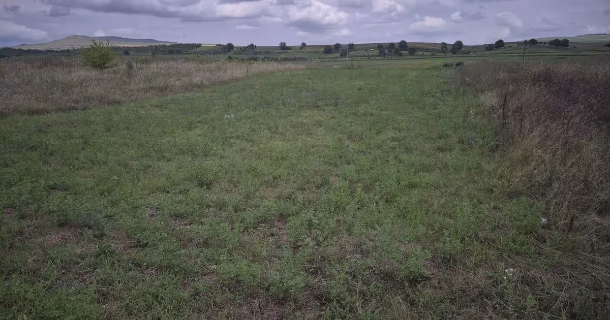 Teren Construcții intravilan de 1450 mp, în Crăciunelu de Jos