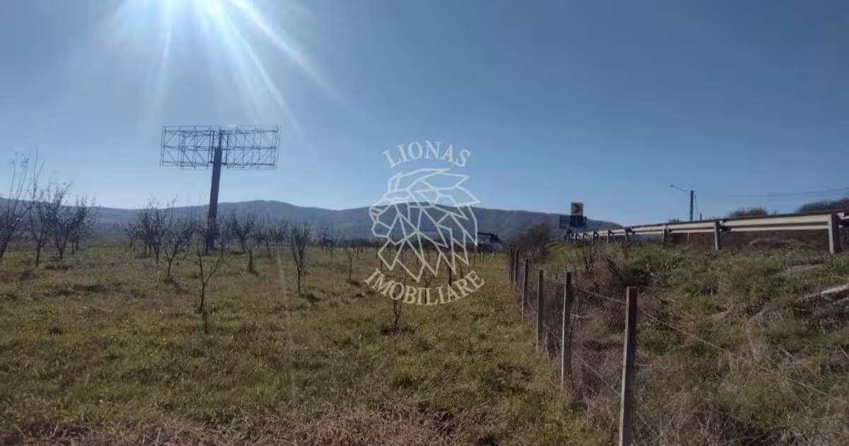 Teren Construcții intravilan de 12300 mp, în Crainimăt