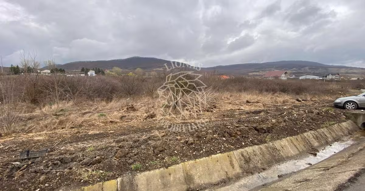 Teren Construcții intravilan de 12719 mp, în Crainimăt