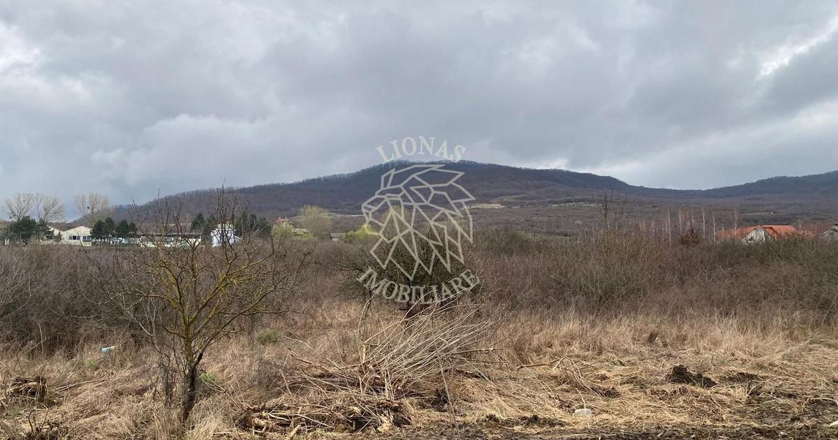 Teren Construcții intravilan de 12719 mp, în Crainimăt