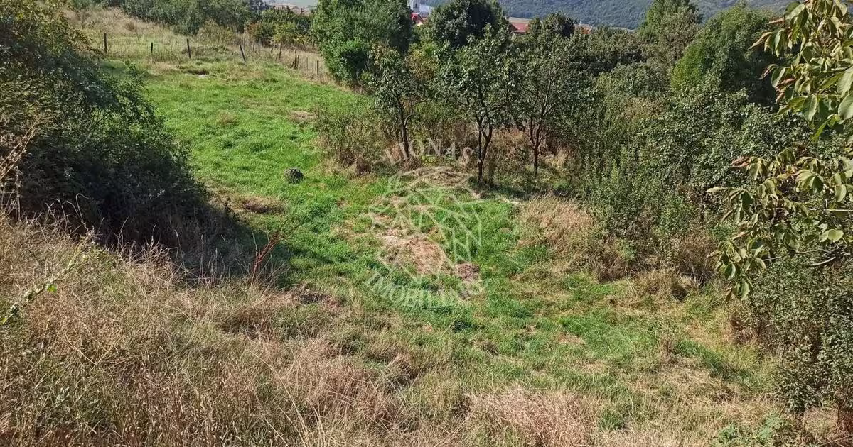 Teren Construcții intravilan de 1400 mp, în Crainimăt