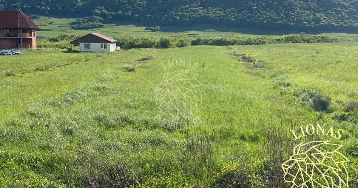 Teren Construcții intravilan de 3000 mp, în Crainimăt