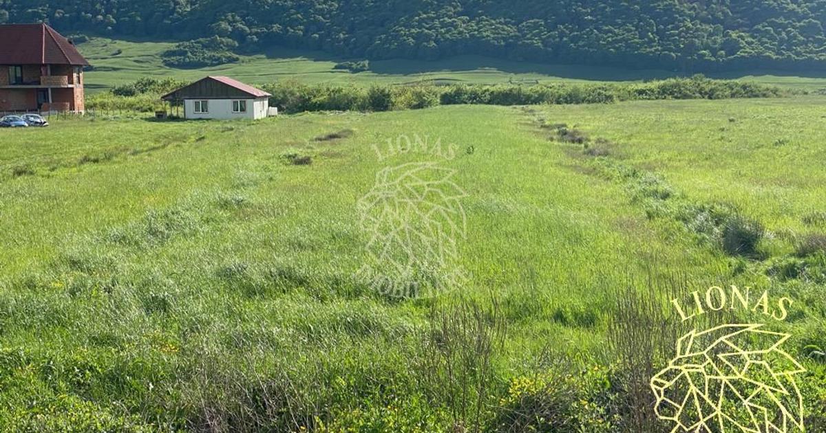 Teren Construcții intravilan de 3000 mp, în Crainimăt