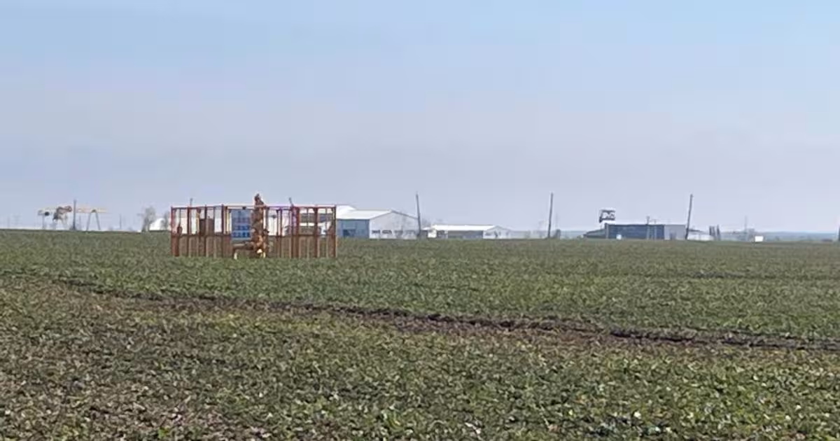Teren Construcții intravilan de 5000 mp, în zona Exterior Est, Craiova