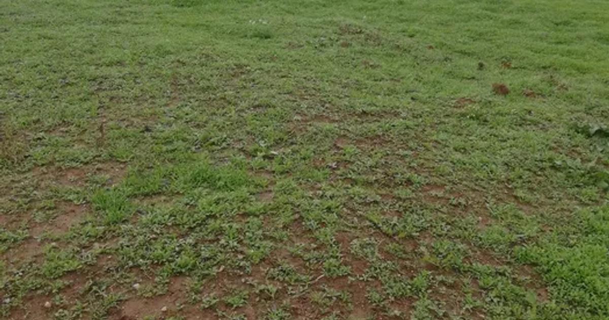 Teren Construcții intravilan de 1000 mp, în zona Ghercești, Craiova