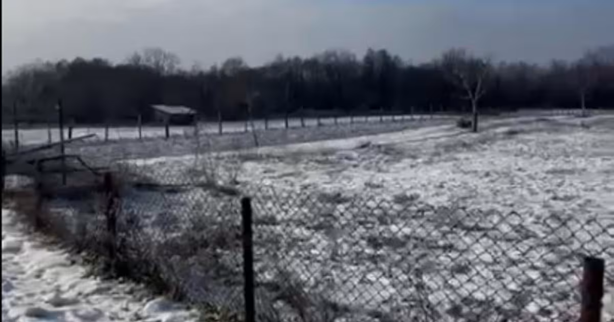 Teren Construcții intravilan de 19209 mp, în Crasna